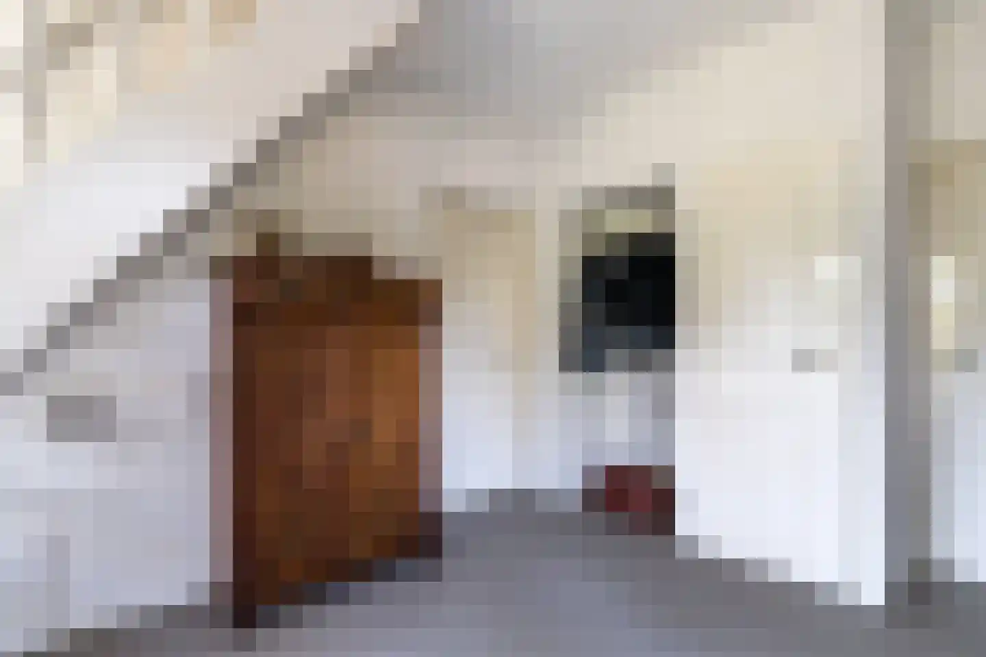 Geerhoek 34 Scherpenzeel thumbnail 18