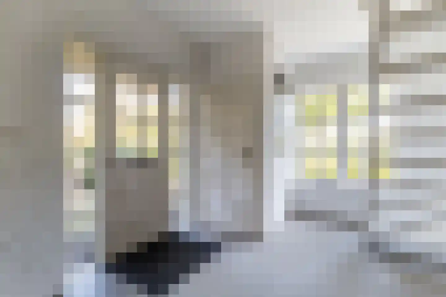 Geerhoek 34 Scherpenzeel thumbnail 19
