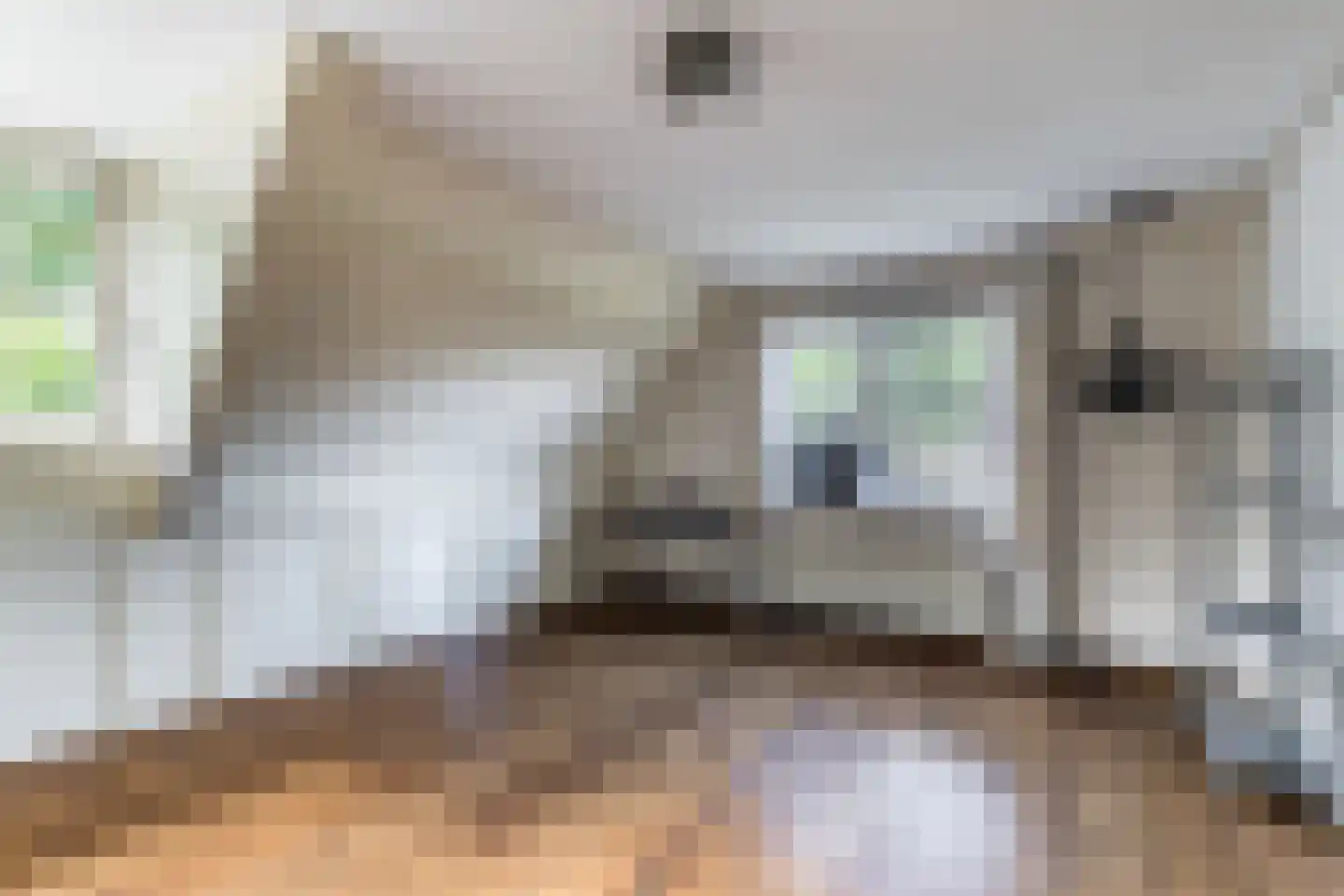 Geerhoek 34 Scherpenzeel thumbnail 21