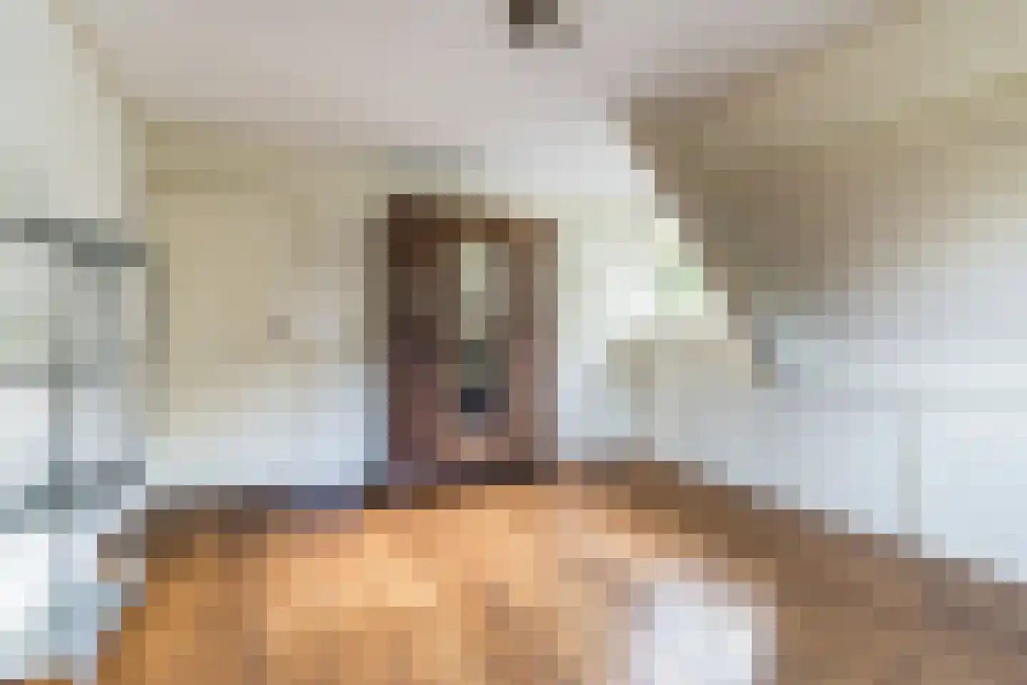 Geerhoek 34 Scherpenzeel thumbnail 22