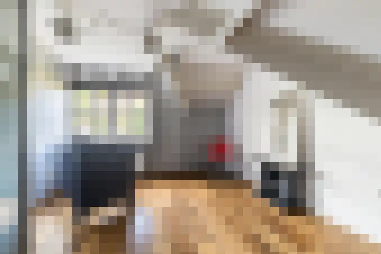 Geerhoek 34 Scherpenzeel thumbnail 23