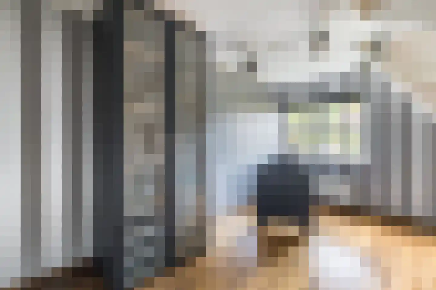 Geerhoek 34 Scherpenzeel thumbnail 24