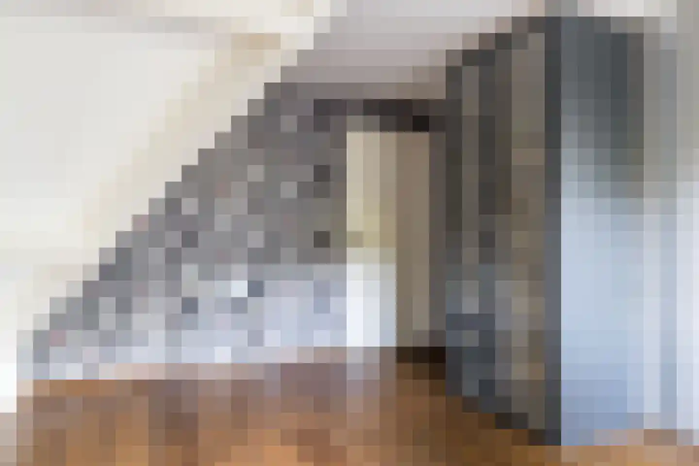 Geerhoek 34 Scherpenzeel thumbnail 25