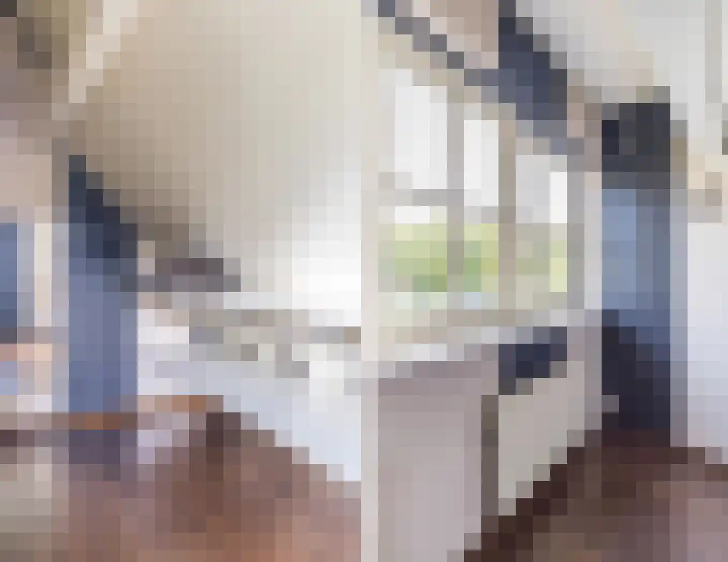 Geerhoek 34 Scherpenzeel thumbnail 27