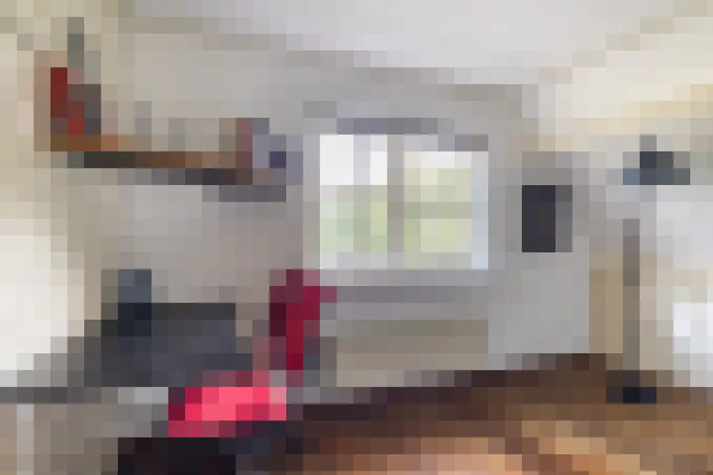 Geerhoek 34 Scherpenzeel thumbnail 28