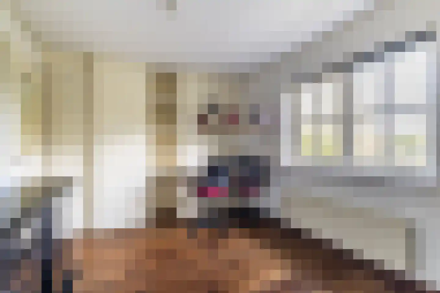Geerhoek 34 Scherpenzeel thumbnail 29