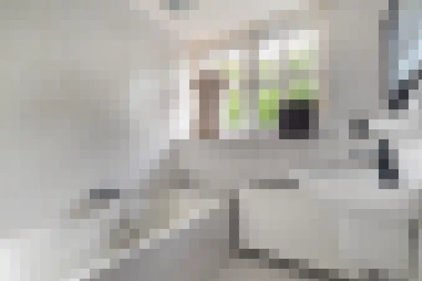 Geerhoek 34 Scherpenzeel thumbnail 31