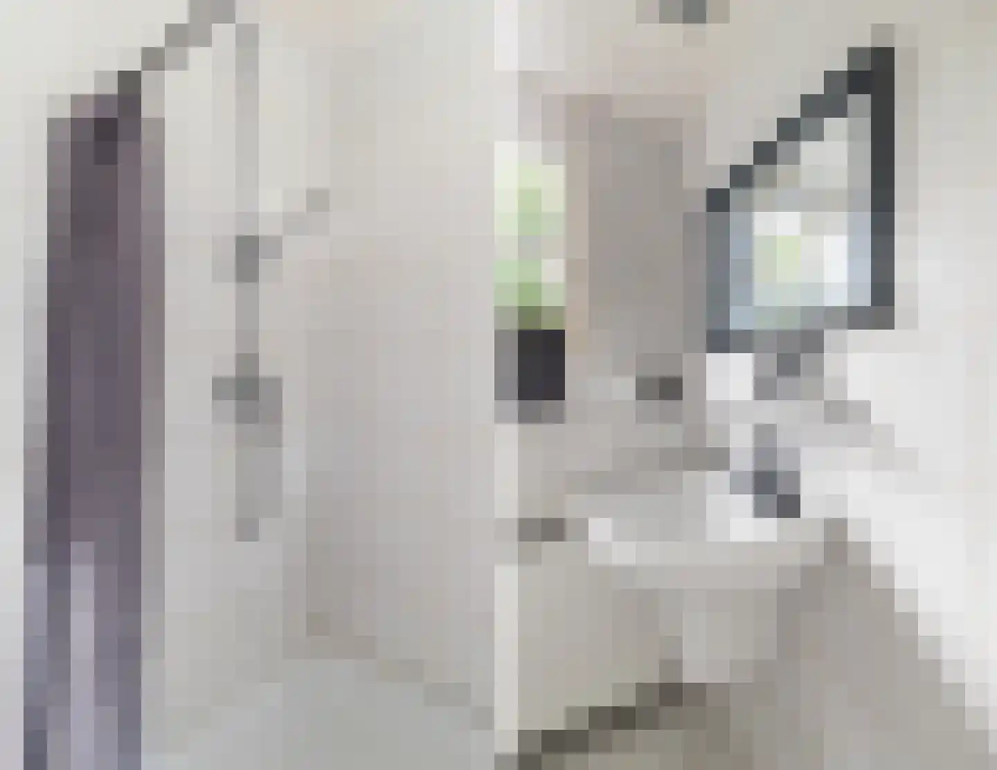 Geerhoek 34 Scherpenzeel thumbnail 32