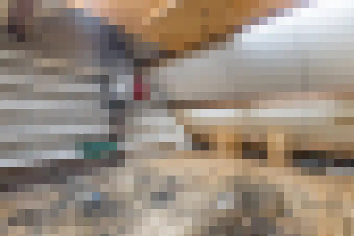 Geerhoek 34 Scherpenzeel thumbnail 40