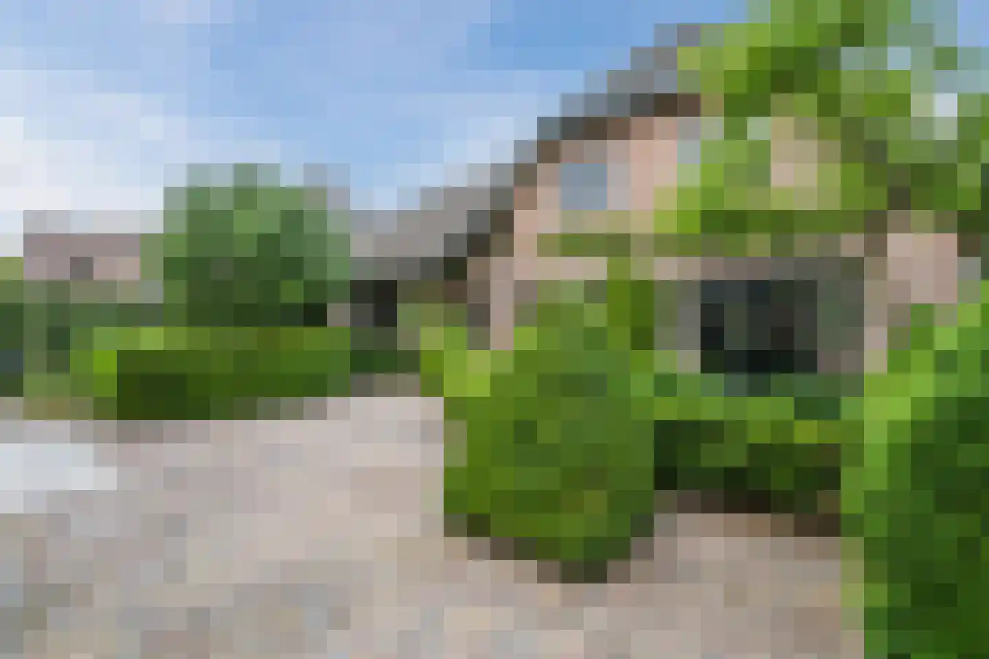 Geerhoek 34 Scherpenzeel thumbnail 43