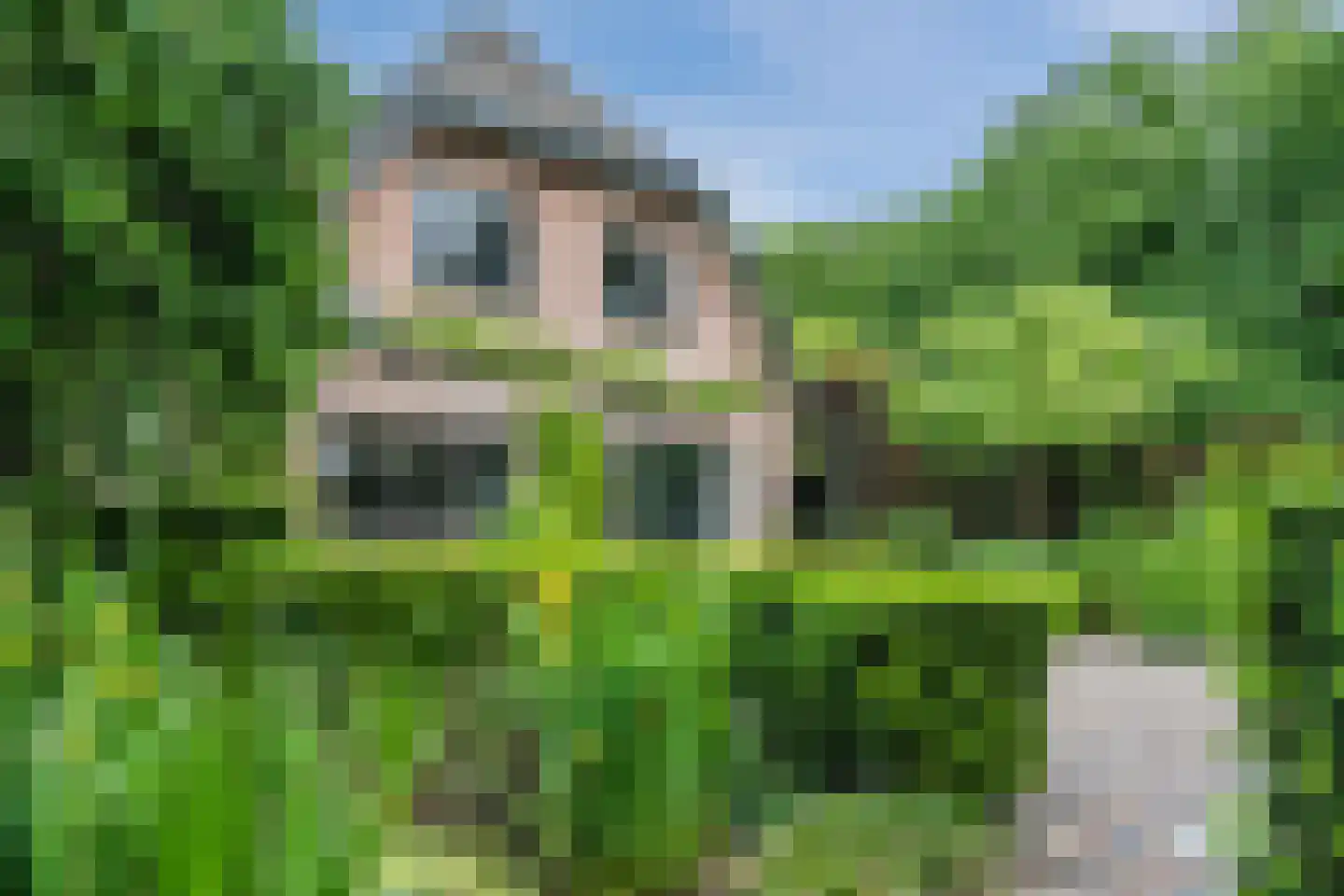 Geerhoek 34 Scherpenzeel thumbnail 45