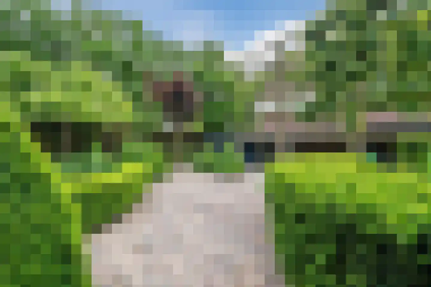 Geerhoek 34 Scherpenzeel thumbnail 47