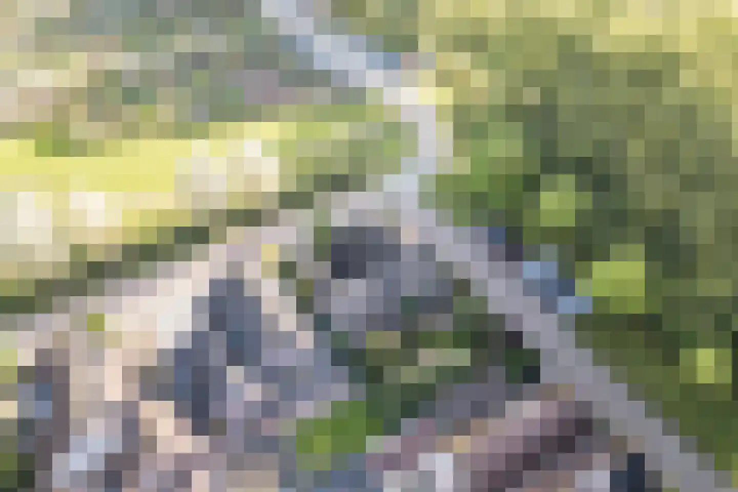 Geerhoek 34 Scherpenzeel thumbnail 51