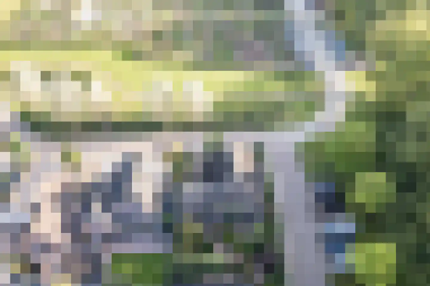 Geerhoek 34 Scherpenzeel thumbnail 52
