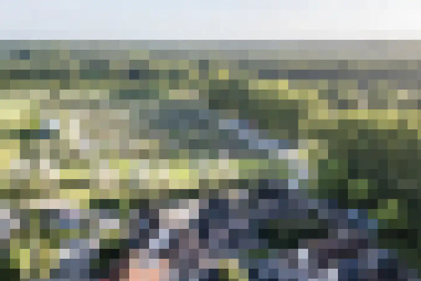 Geerhoek 34 Scherpenzeel thumbnail 53
