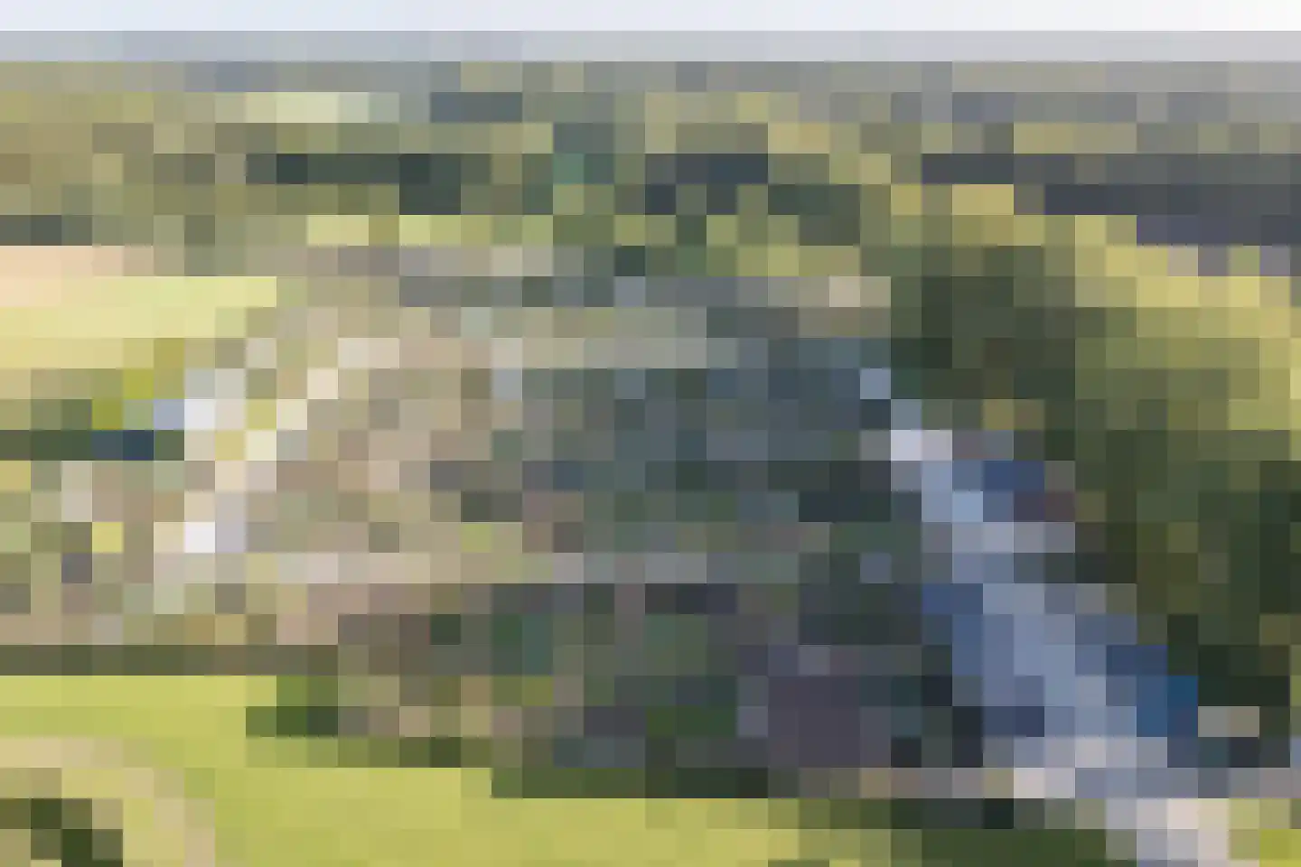 Geerhoek 34 Scherpenzeel thumbnail 54