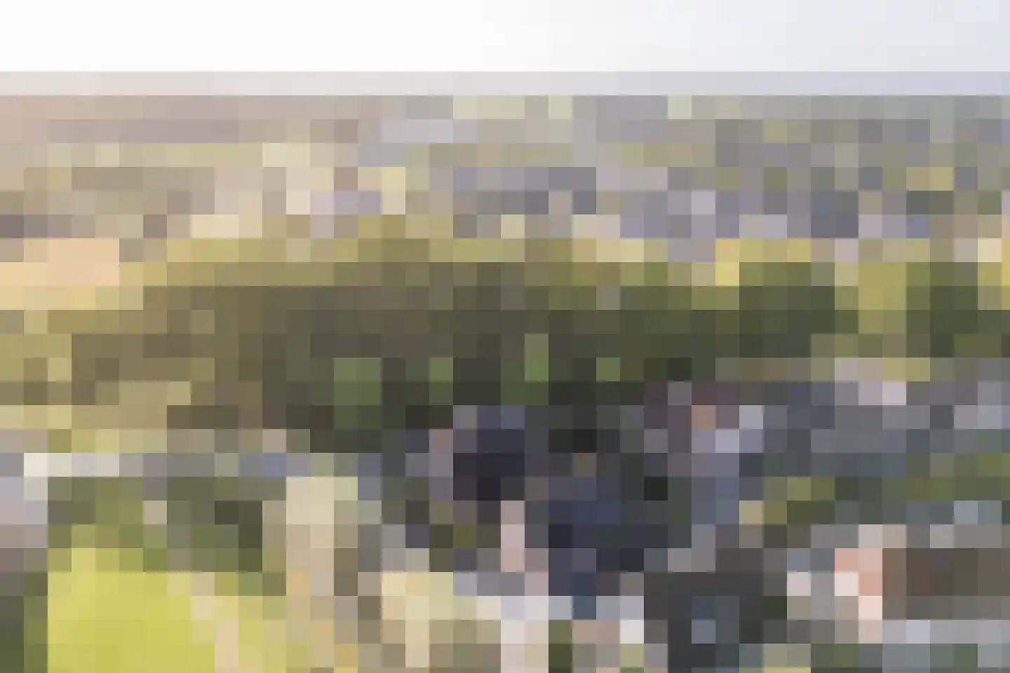 Geerhoek 34 Scherpenzeel thumbnail 57