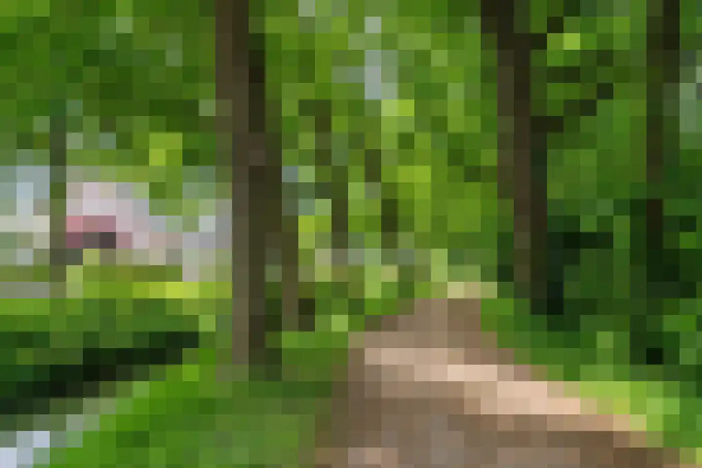 Geerhoek 34 Scherpenzeel thumbnail 58