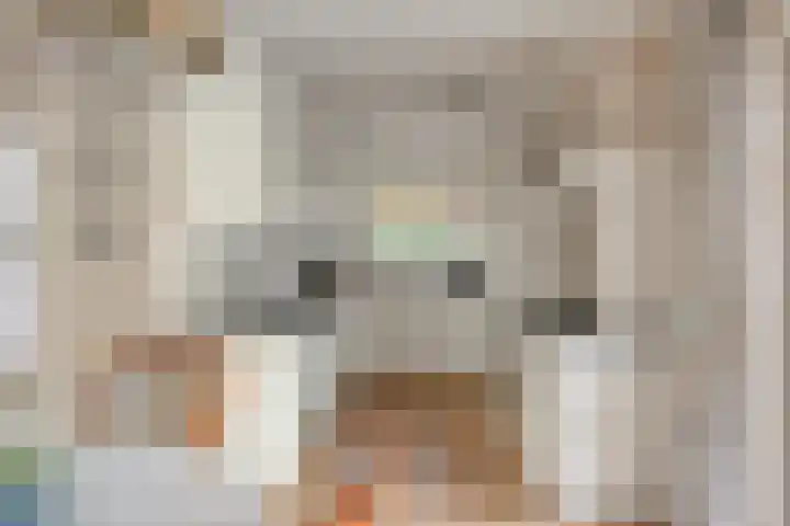 Geerhoek 42 Scherpenzeel thumbnail 10
