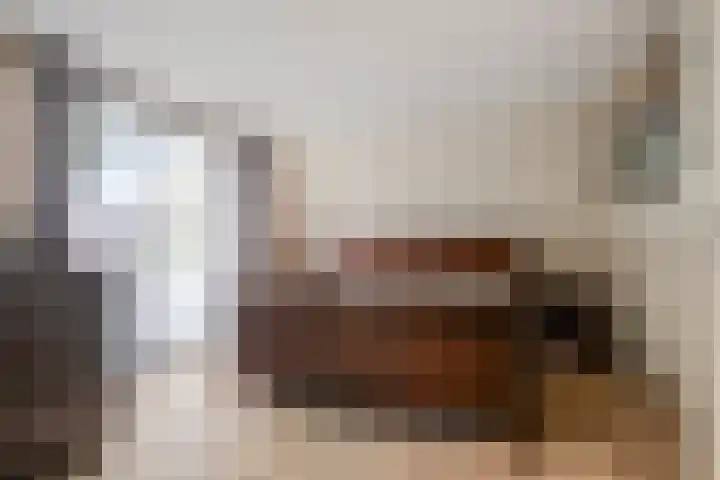 Geerhoek 42 Scherpenzeel thumbnail 17