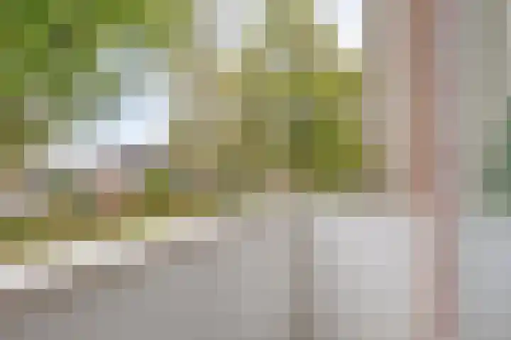 Geerhoek 42 Scherpenzeel thumbnail 19
