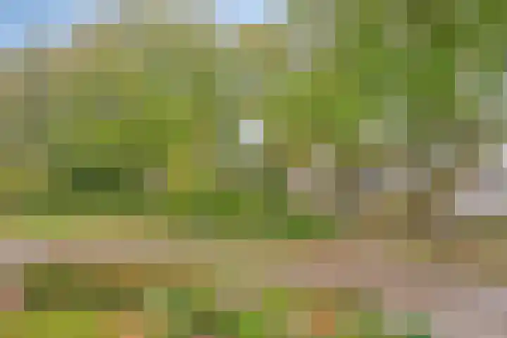 Geerhoek 42 Scherpenzeel thumbnail 20