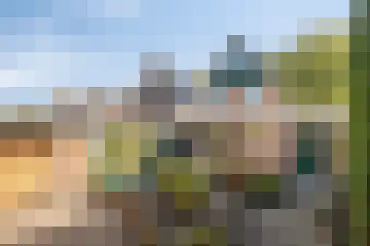 Geerhoek 42 Scherpenzeel thumbnail 31