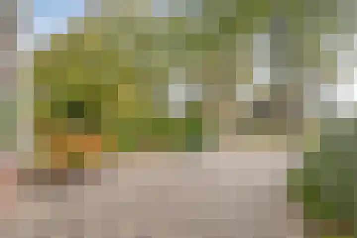 Geerhoek 42 Scherpenzeel thumbnail 35