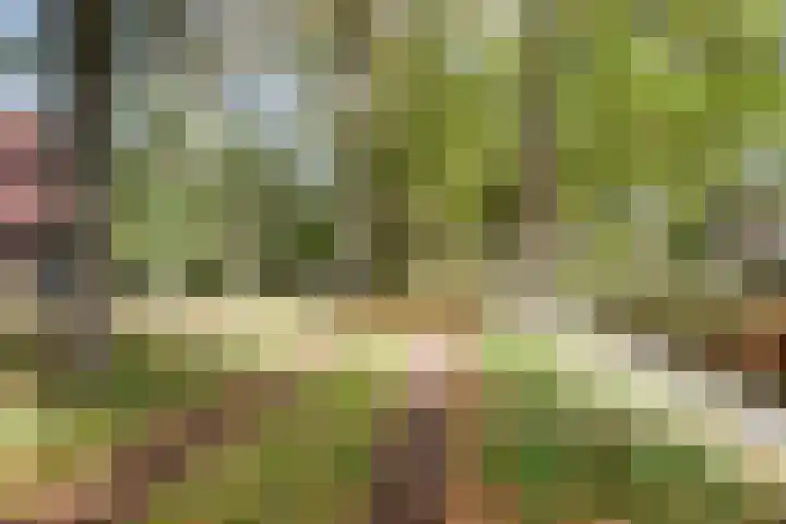 Geerhoek 42 Scherpenzeel thumbnail 37