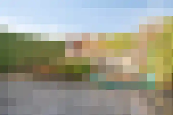 Geerhoek 42 Scherpenzeel thumbnail 4