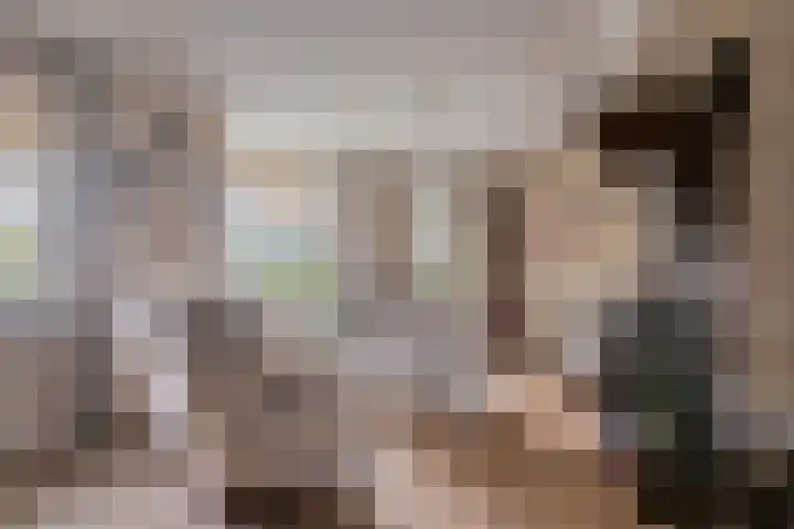 Geerhoek 42 Scherpenzeel thumbnail 6