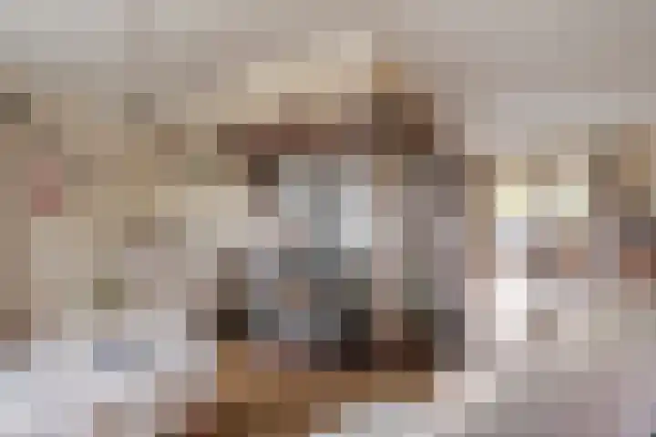 Geerhoek 42 Scherpenzeel thumbnail 8