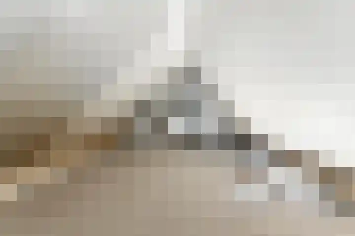 Geerhoek 8 Ridderkerk thumbnail 32