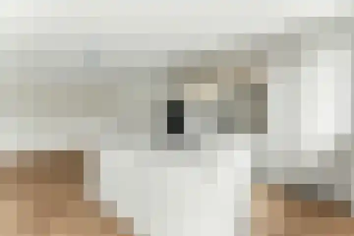 Geerhoek 8 Ridderkerk thumbnail 8