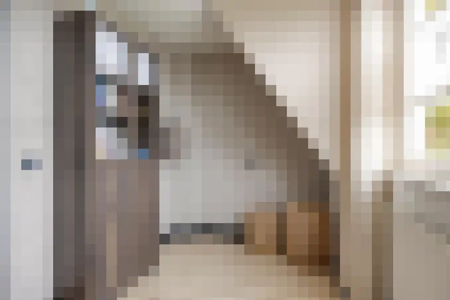 Geerhof 16 Horssen thumbnail 21