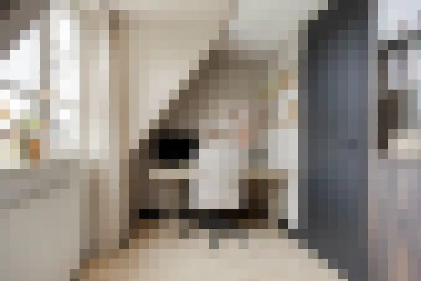 Geerhof 16 Horssen thumbnail 22