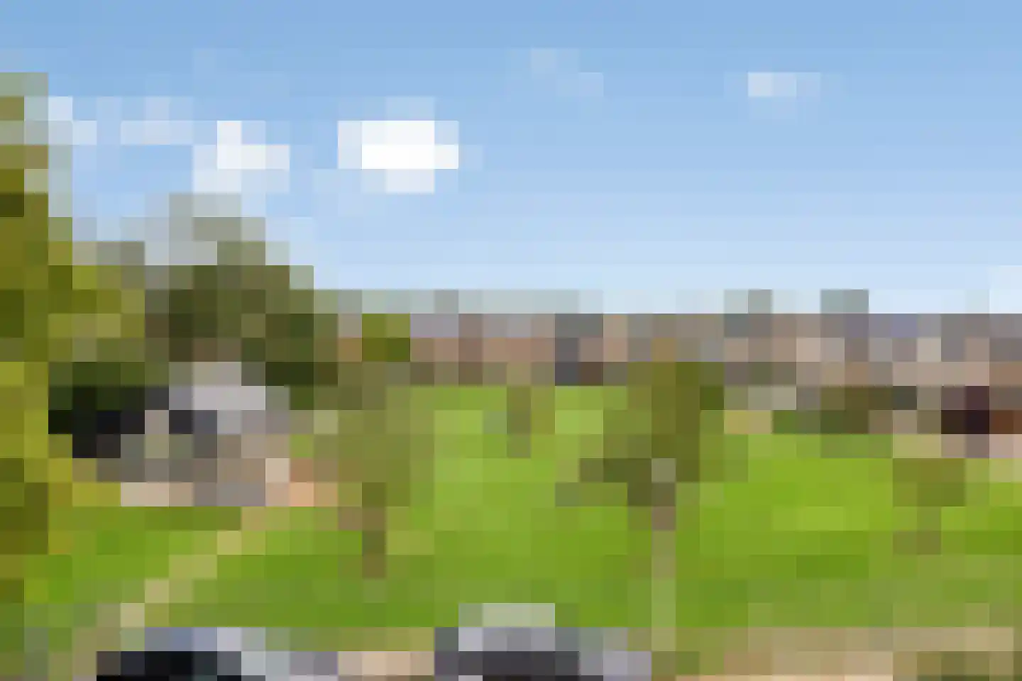 Geerhof 16 Horssen thumbnail 25