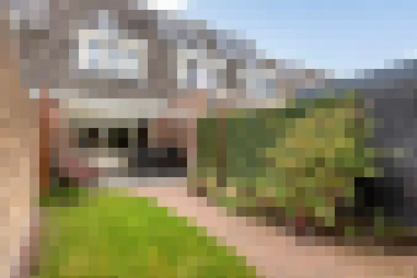 Geerhof 16 Horssen thumbnail 26