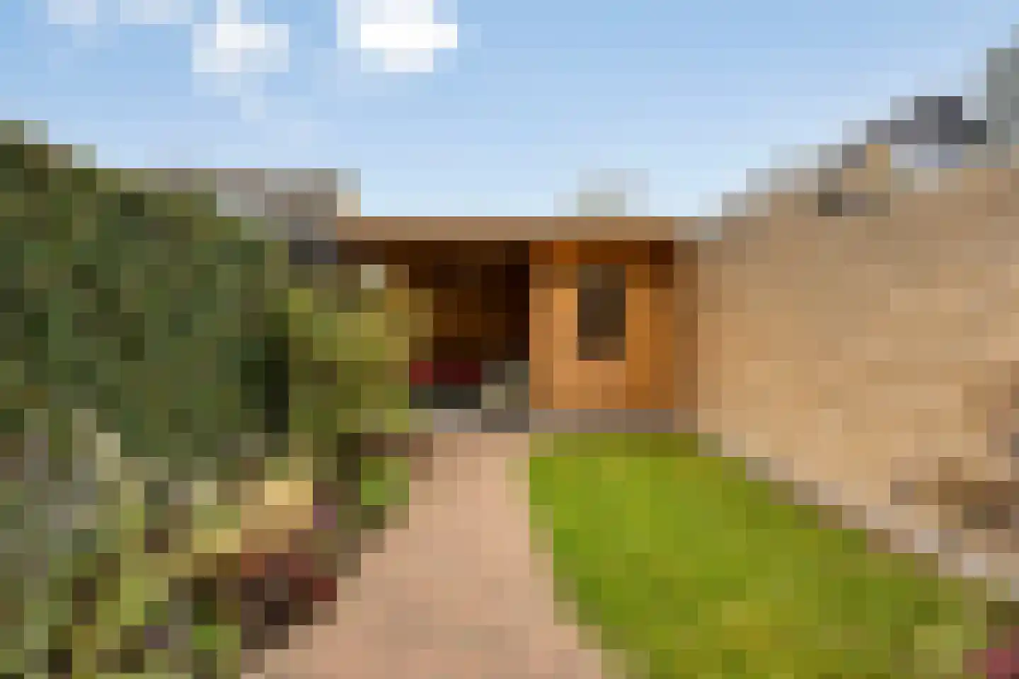 Geerhof 16 Horssen thumbnail 27
