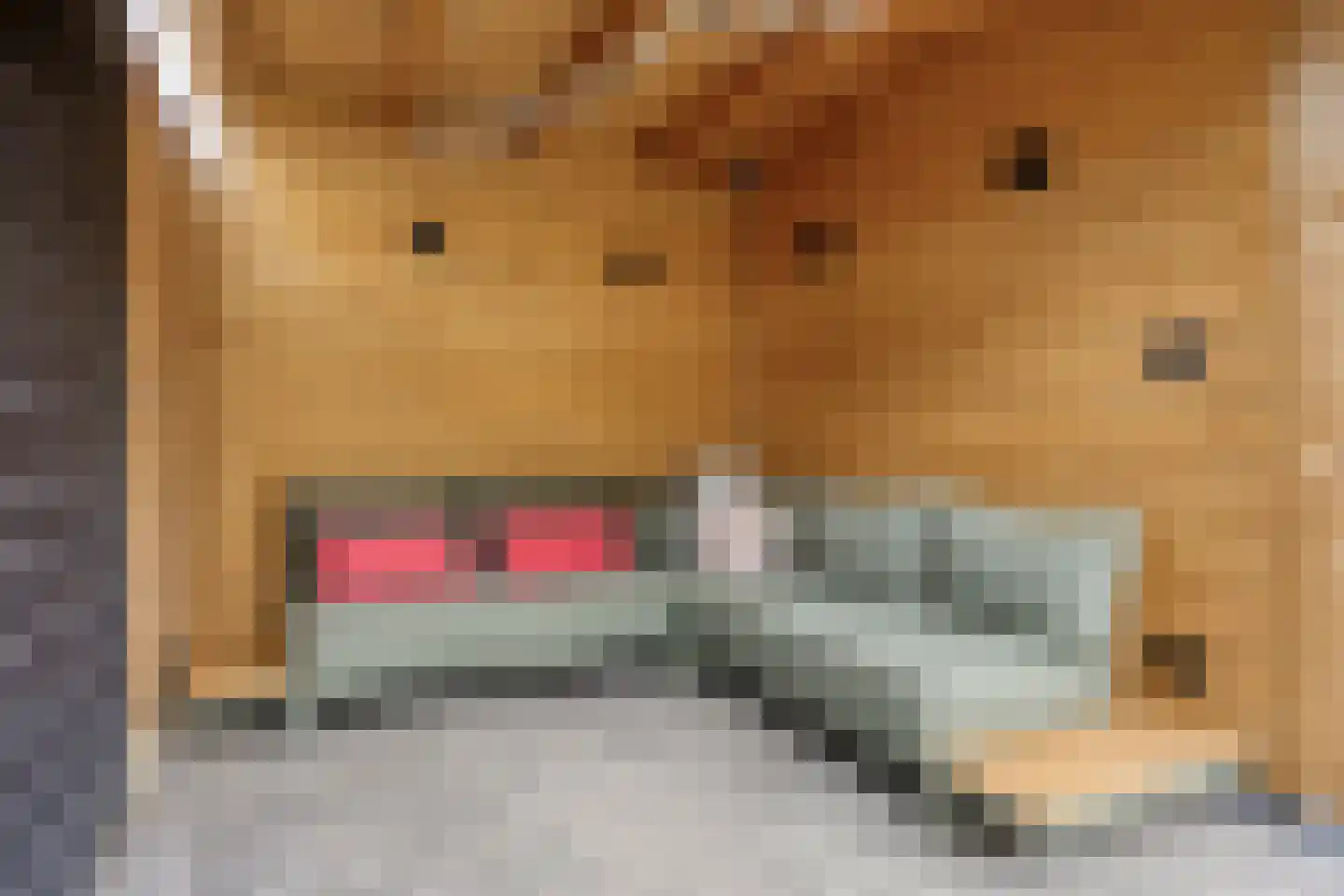 Geerhof 16 Horssen thumbnail 28
