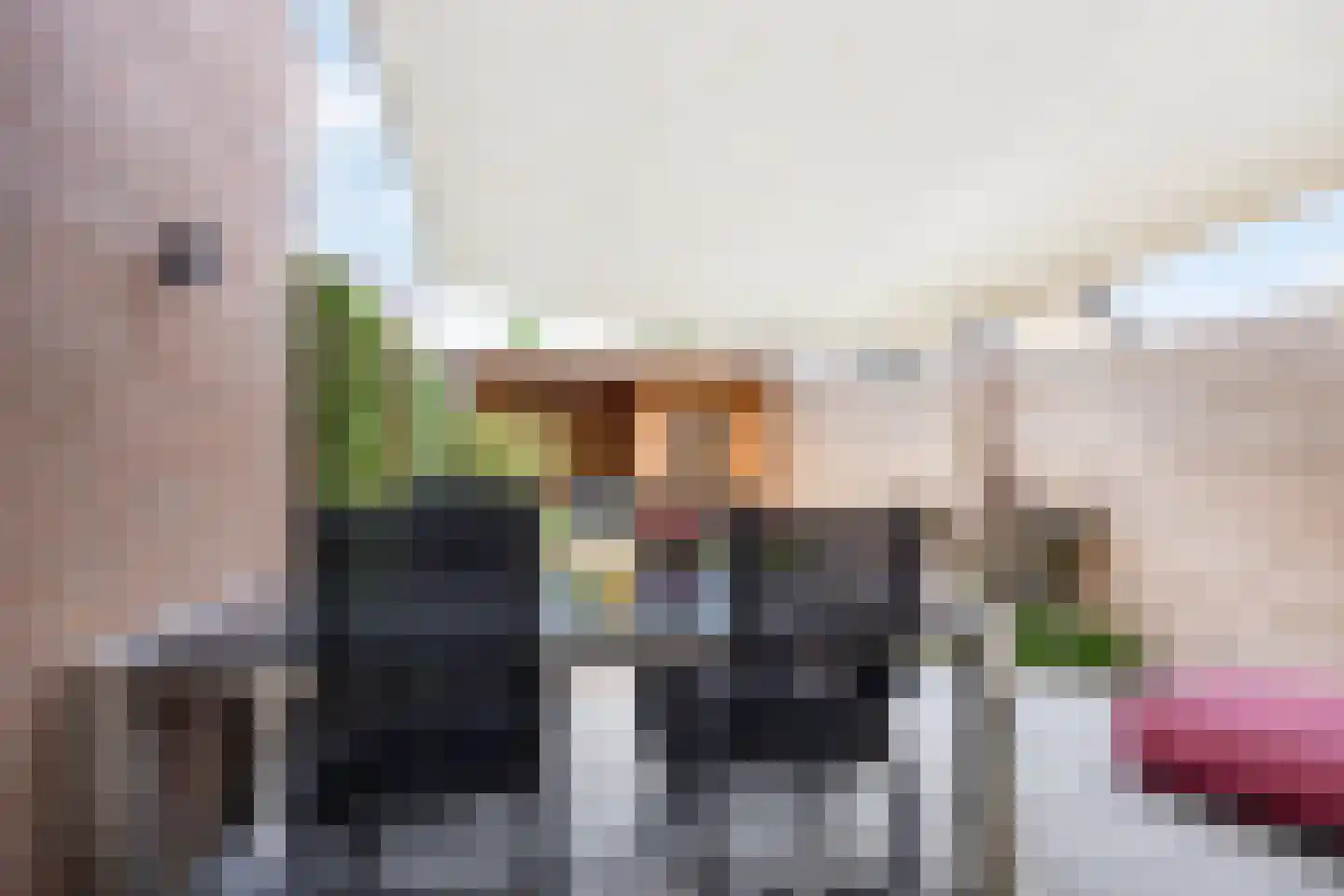 Geerhof 16 Horssen thumbnail 29