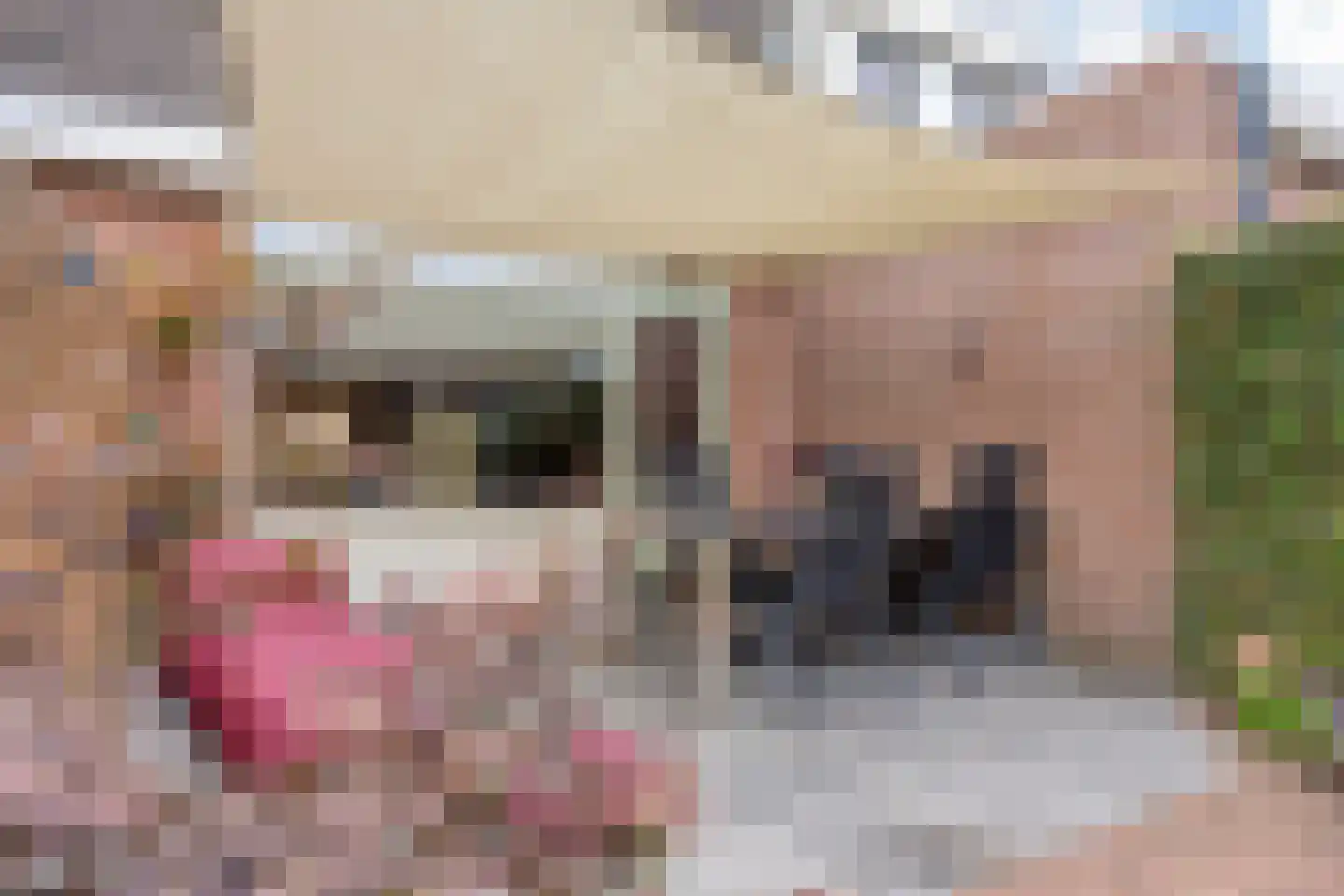 Geerhof 16 Horssen thumbnail 30