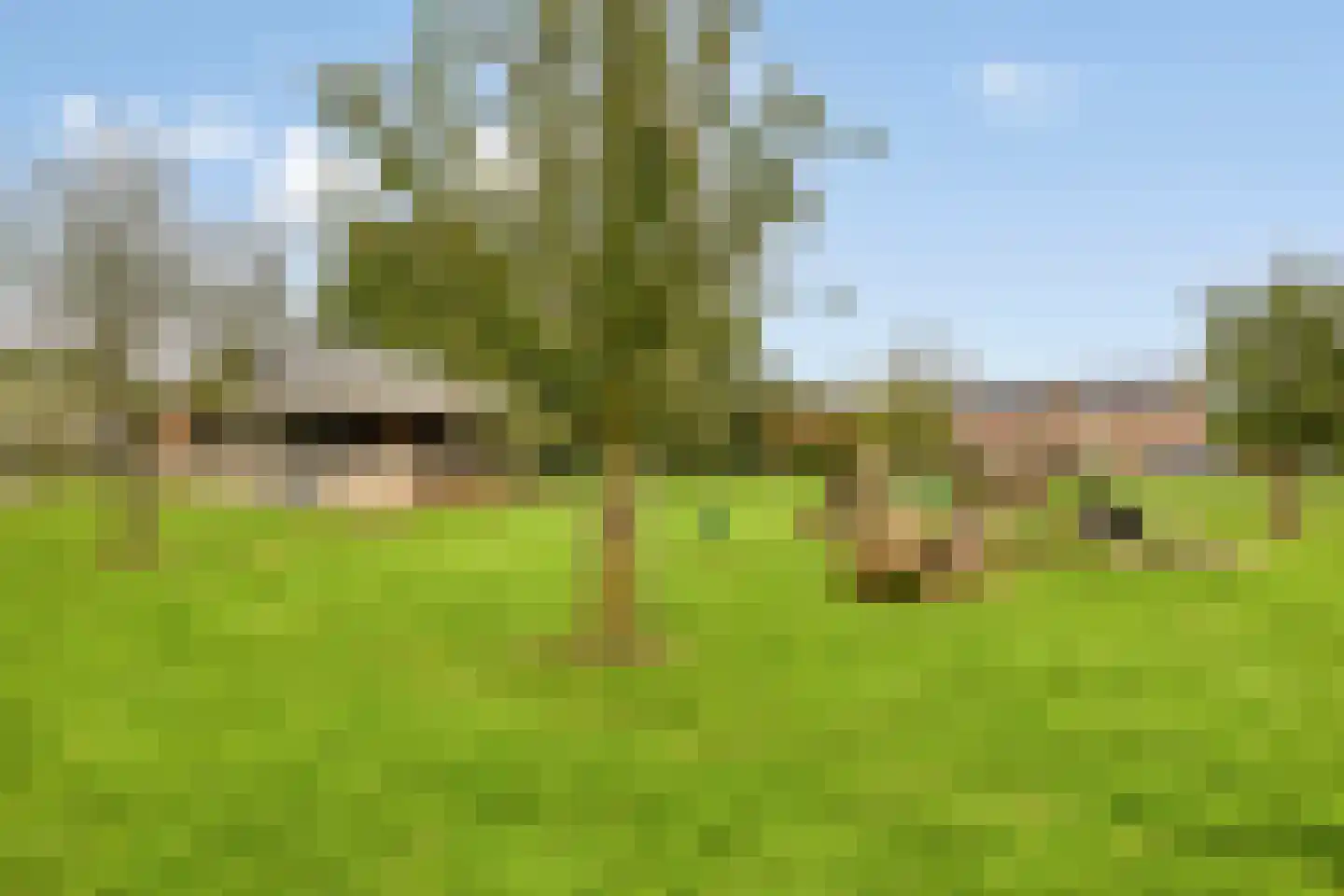 Geerhof 16 Horssen thumbnail 32
