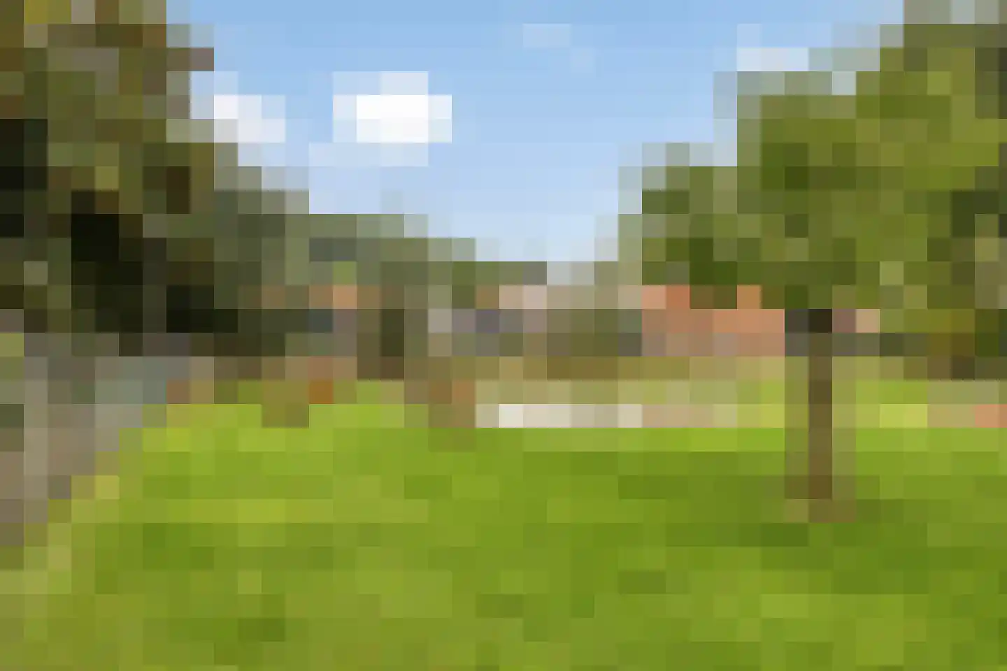 Geerhof 16 Horssen thumbnail 33
