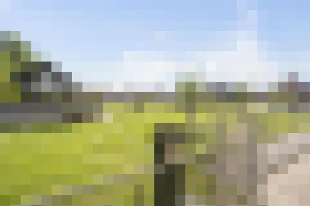 Geerhof 16 Horssen thumbnail 36