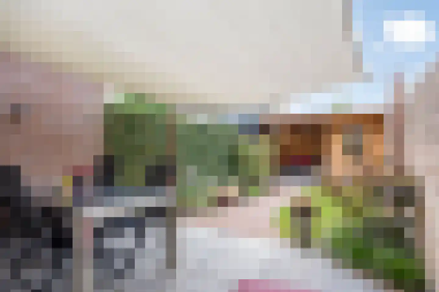 Geerhof 16 Horssen thumbnail 4