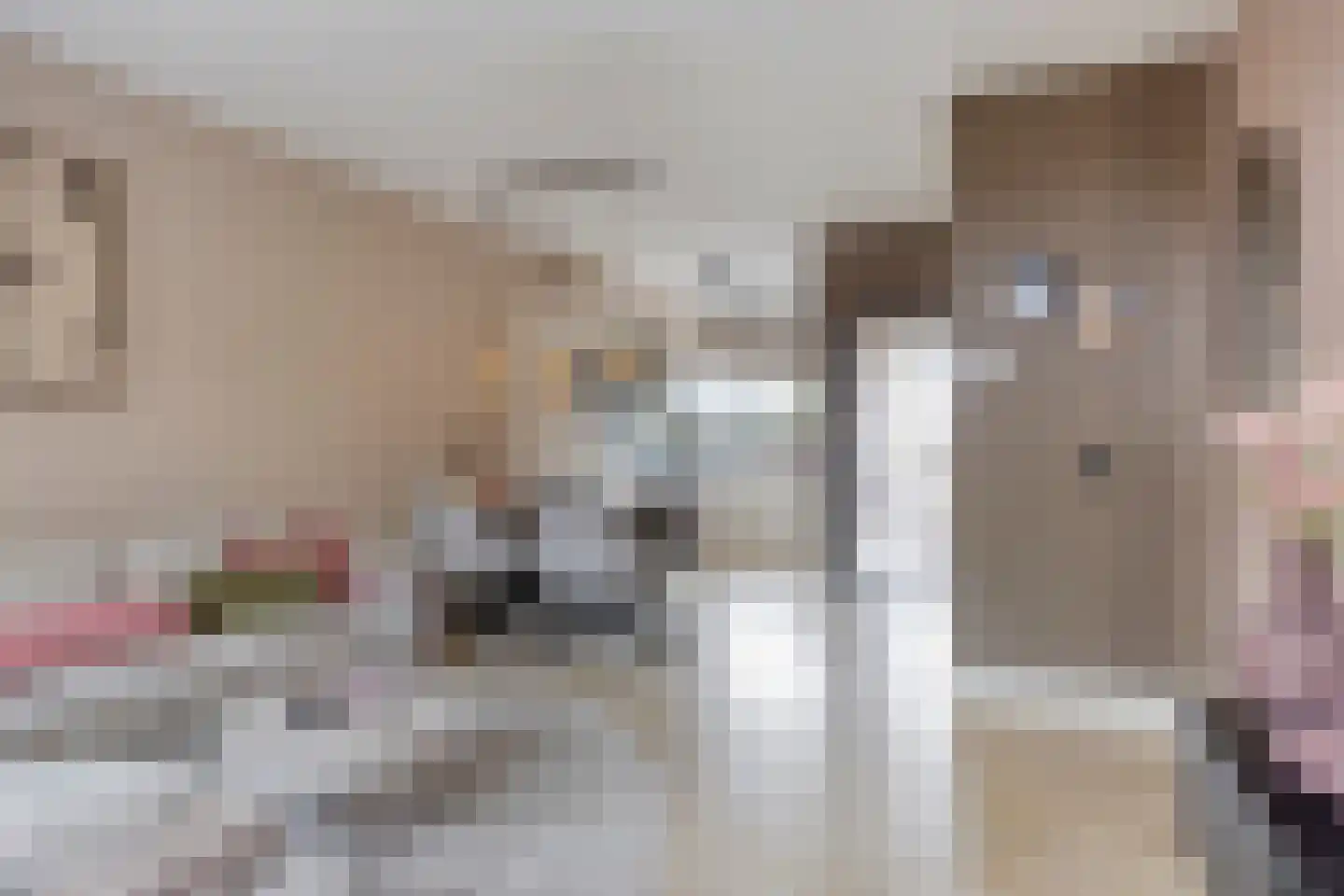 Geerhof 16 Horssen thumbnail 6