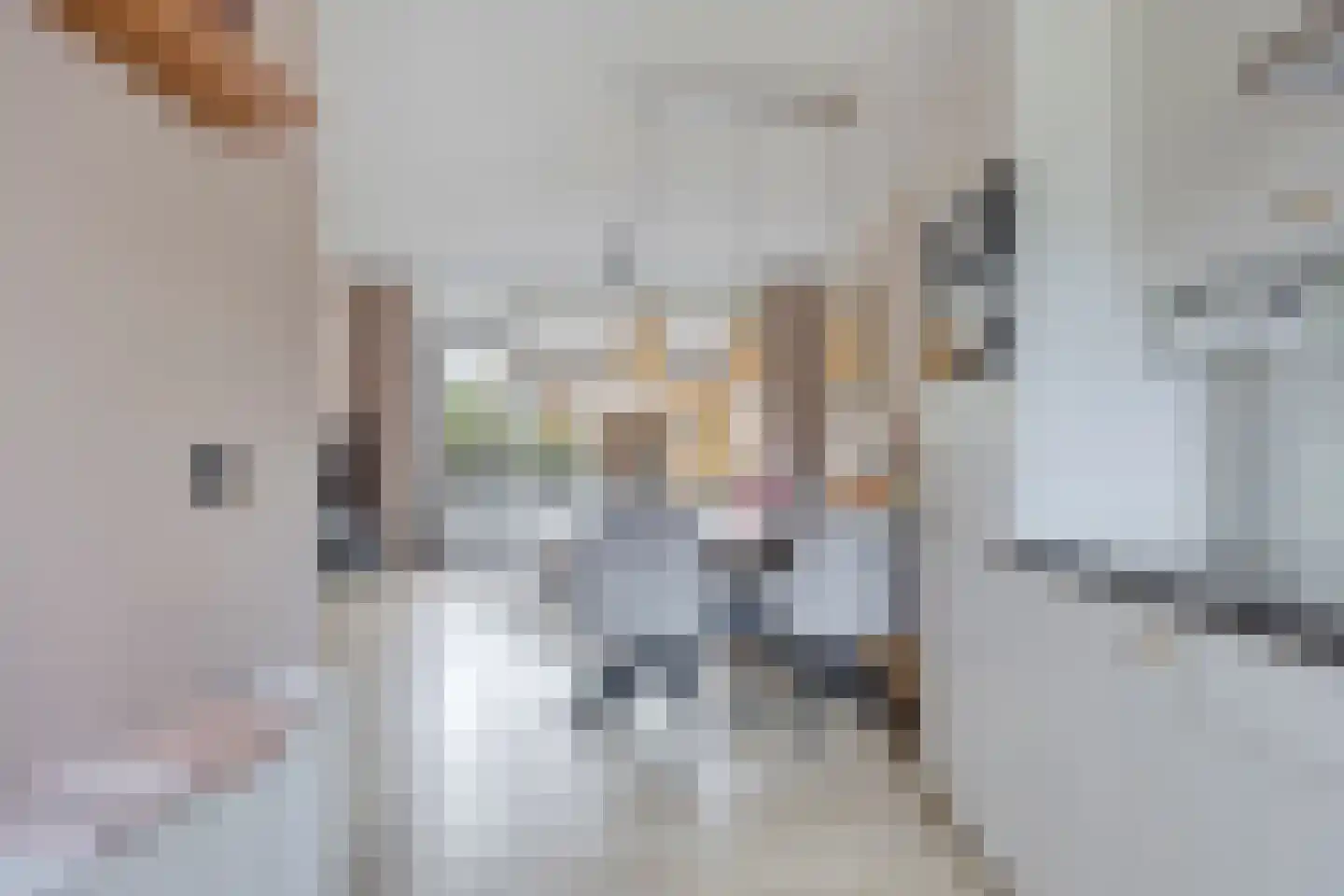Geerhof 16 Horssen thumbnail 8