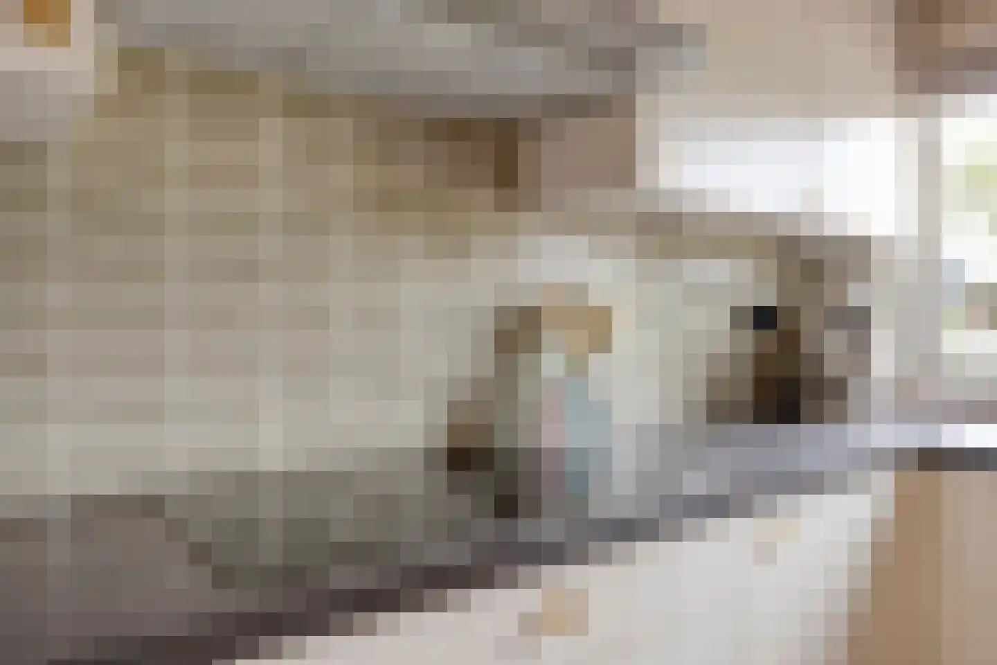 Geerhof 16 Horssen thumbnail 9