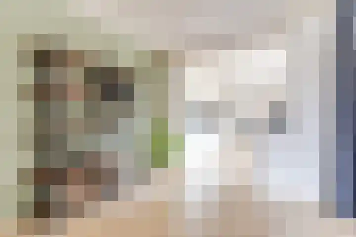 Geerhof 8 Eersel thumbnail 10